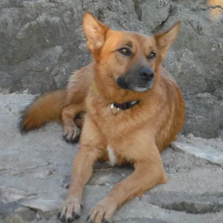 Luznar